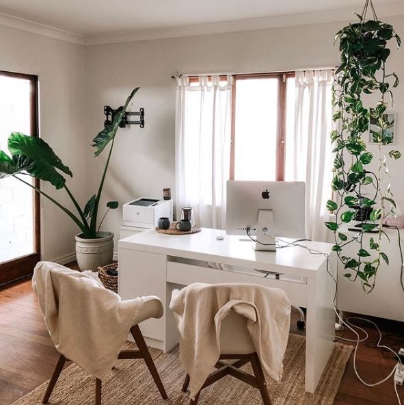 two chairs are in front of a desk with a computer on it and a potted plant