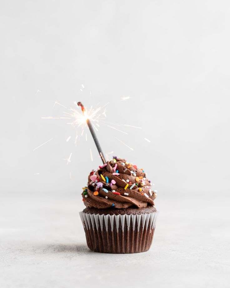 a cupcake with chocolate frosting and sprinkles is lit by a sparkler