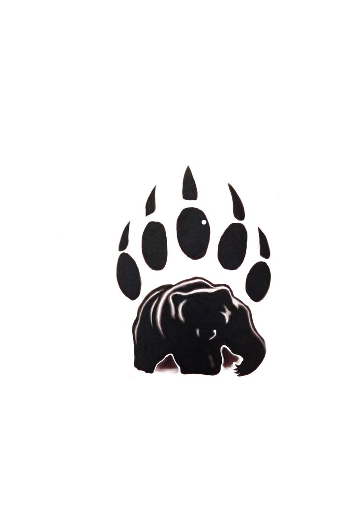 an animal's paw print on a white background