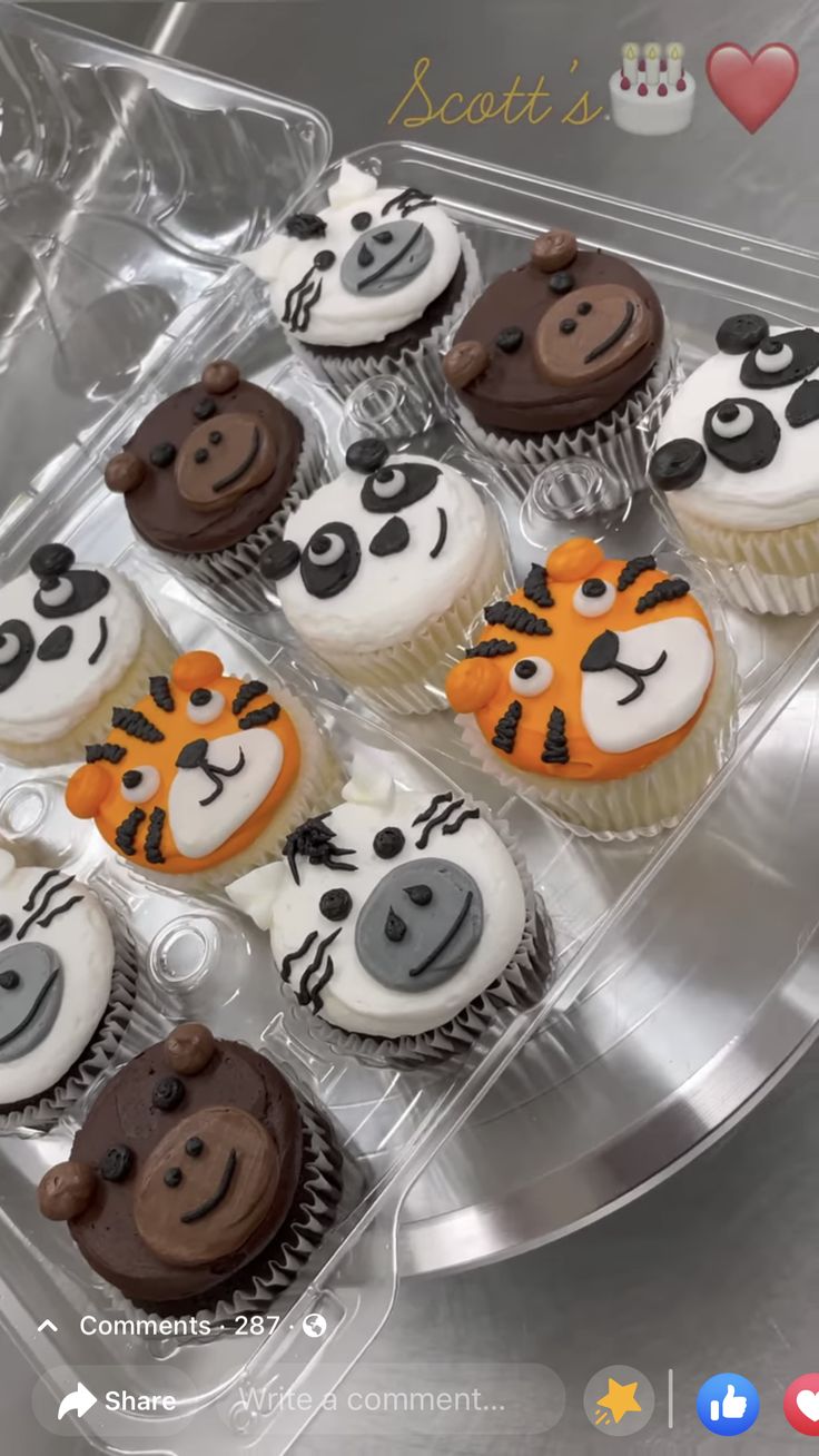 cupcakes decorated with zebra, tiger and monkey faces