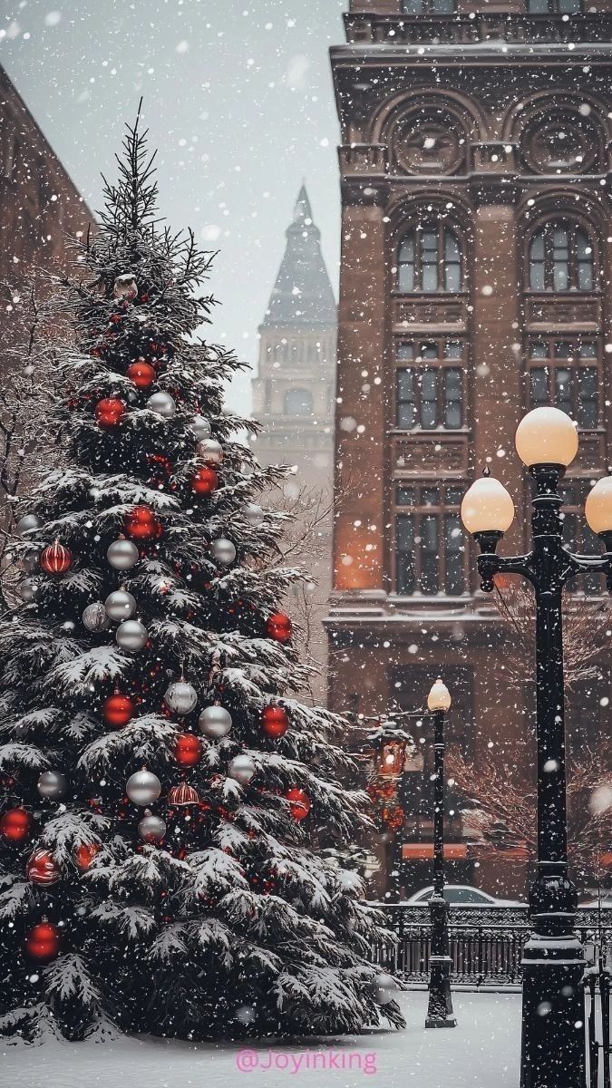 a christmas tree in the middle of a snowy street