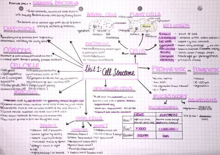 a whiteboard with pink writing on it and an image of what's cell phone