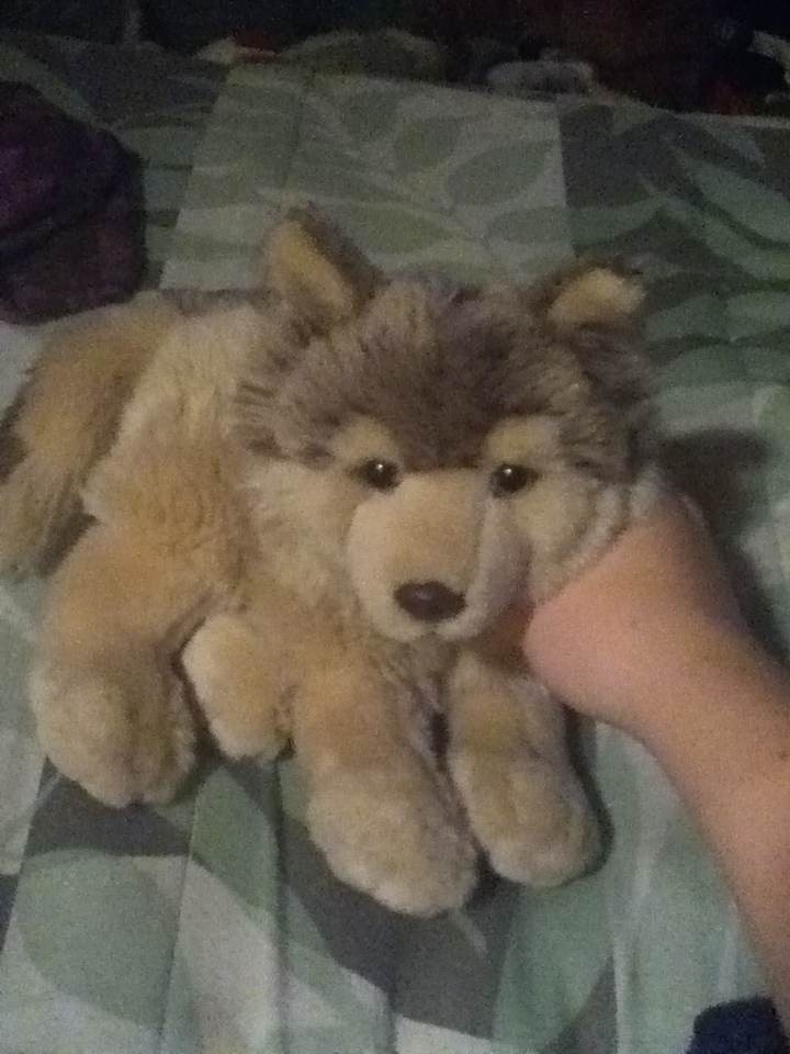 a person is holding a stuffed animal in their hand on a bed with green and white bedspread