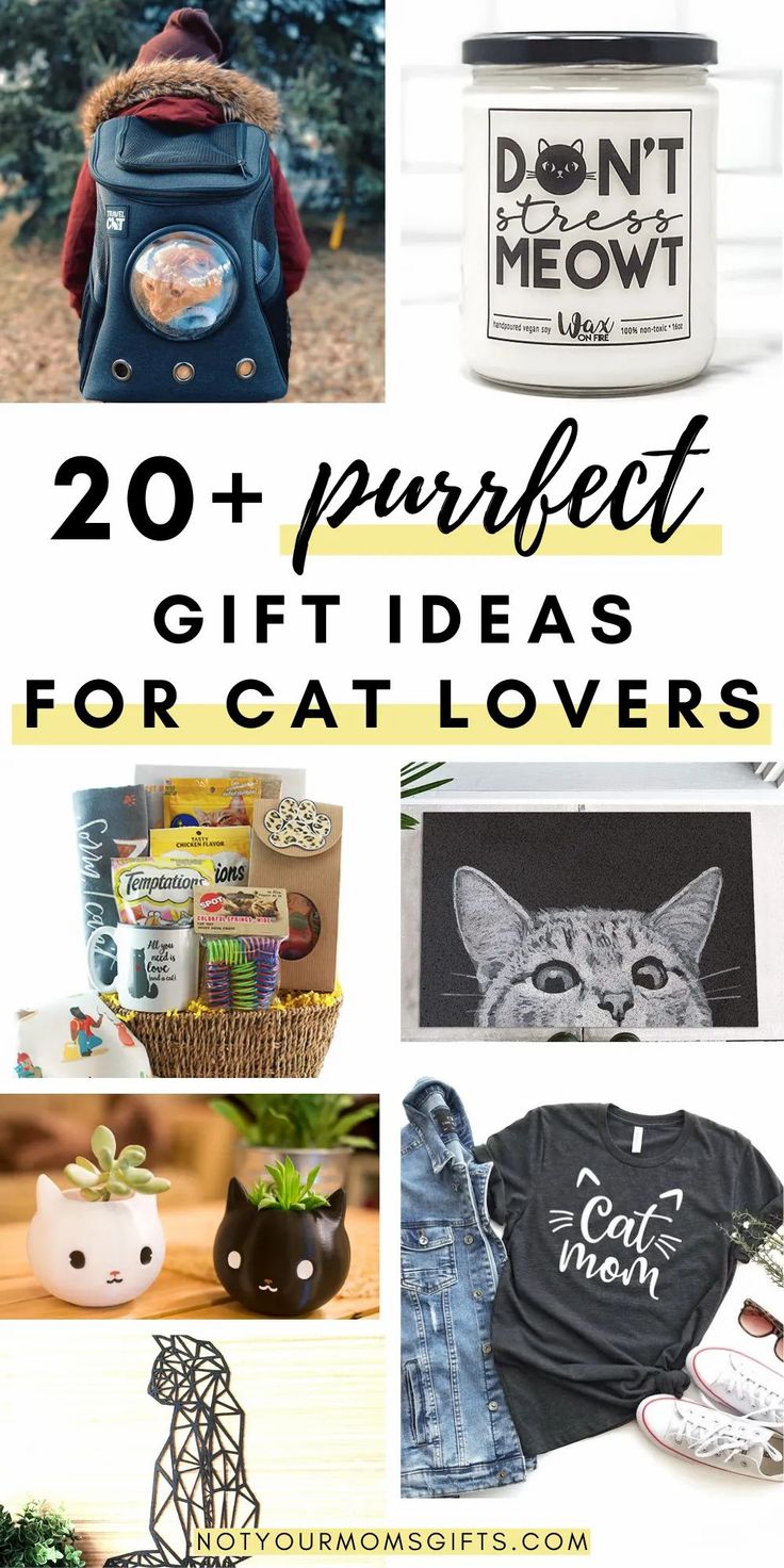 the top ten gifts for cat lovers that are perfect to give out this christmas season