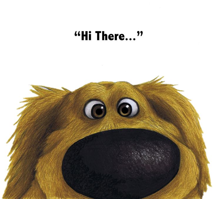 a close up of a dog's face with the words hi there