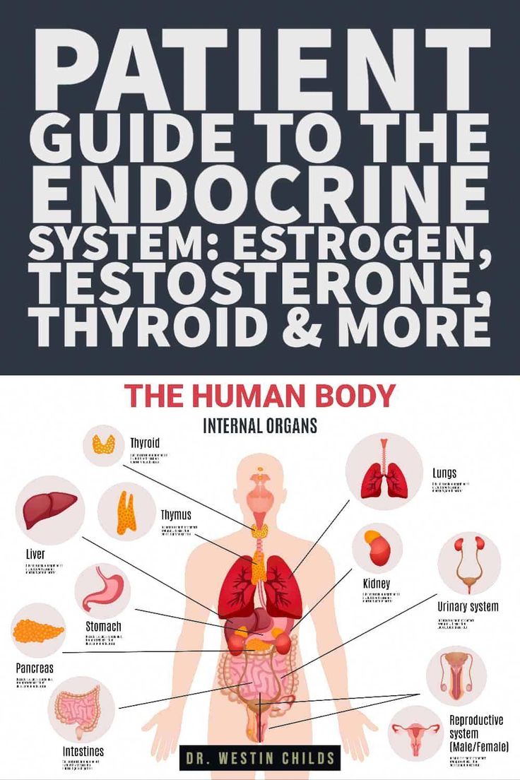 Your endocrine system contains 10 important organs which regulate your hormones. Learn how they work and the symptoms associated with dysfunction. Exocrine System, Hormones And Their Functions, Hormone Testing, Metabolic Renewal, Endocrine System Hormones, Hormone Healing, High Estrogen, Egg Nutrition Facts, Anatomy Notes