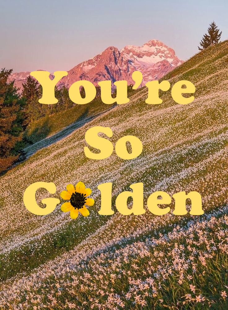 the words you're so golden are in front of a field with wildflowers