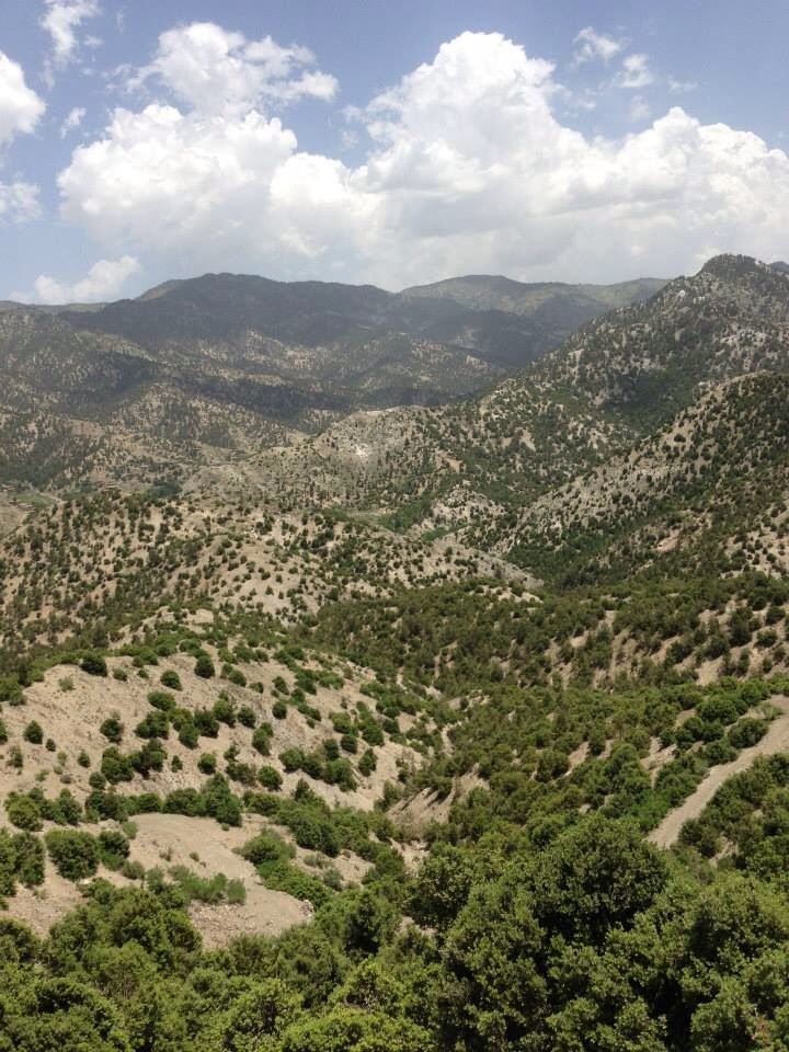 the mountains are covered with trees and bushes