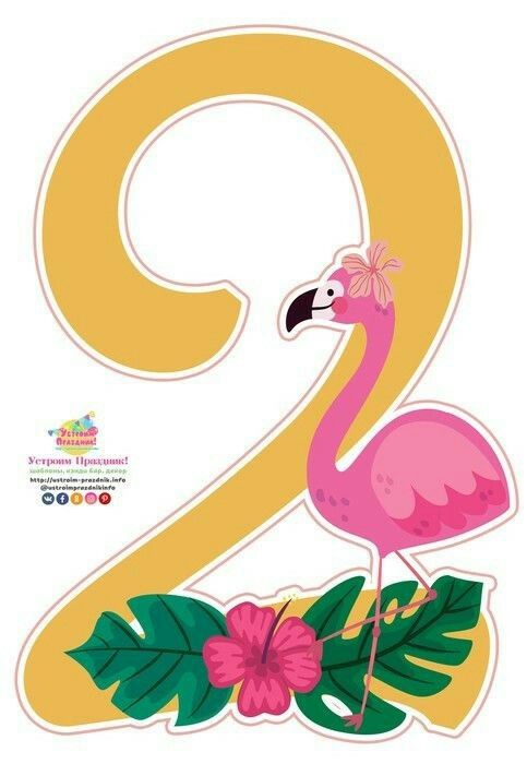 a pink flamingo standing on top of a green leaf covered number two with flowers