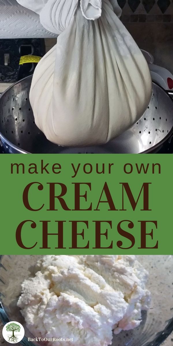 make your own cream cheese recipe in a bowl