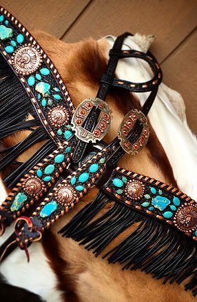 a close up of a horse's bridle with beads and fringes