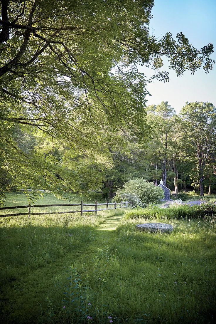 an open field with trees and grass in the foreground