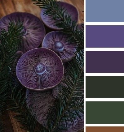 purple and green color palettes with pine branches in the center, on top of a wooden table