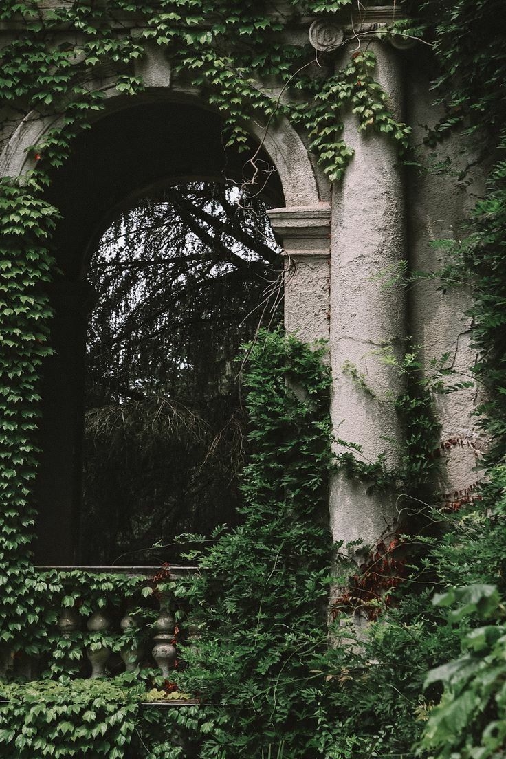 an old building covered in vines and ivy