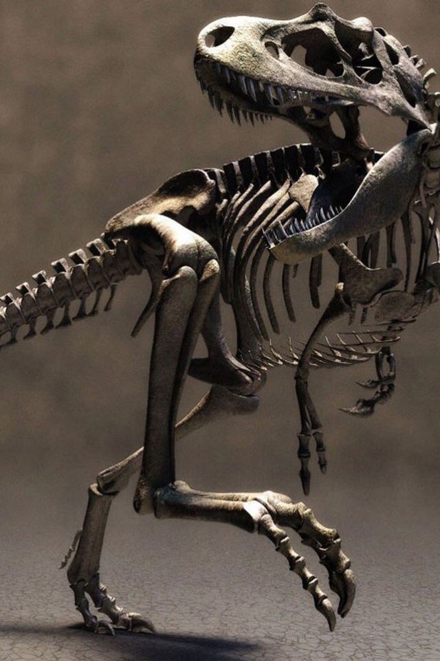 the skeleton of a dinosaur is shown in this 3d image, it appears to be running