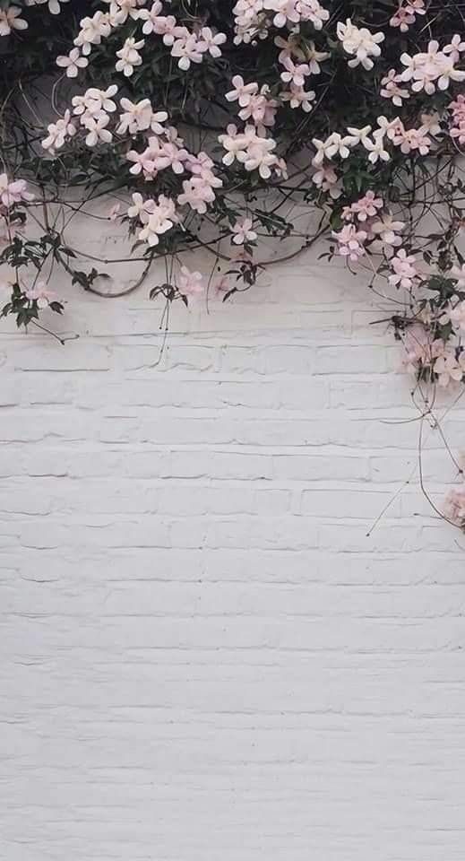 there is a white brick wall with pink flowers on it and the words no rain, no flowers