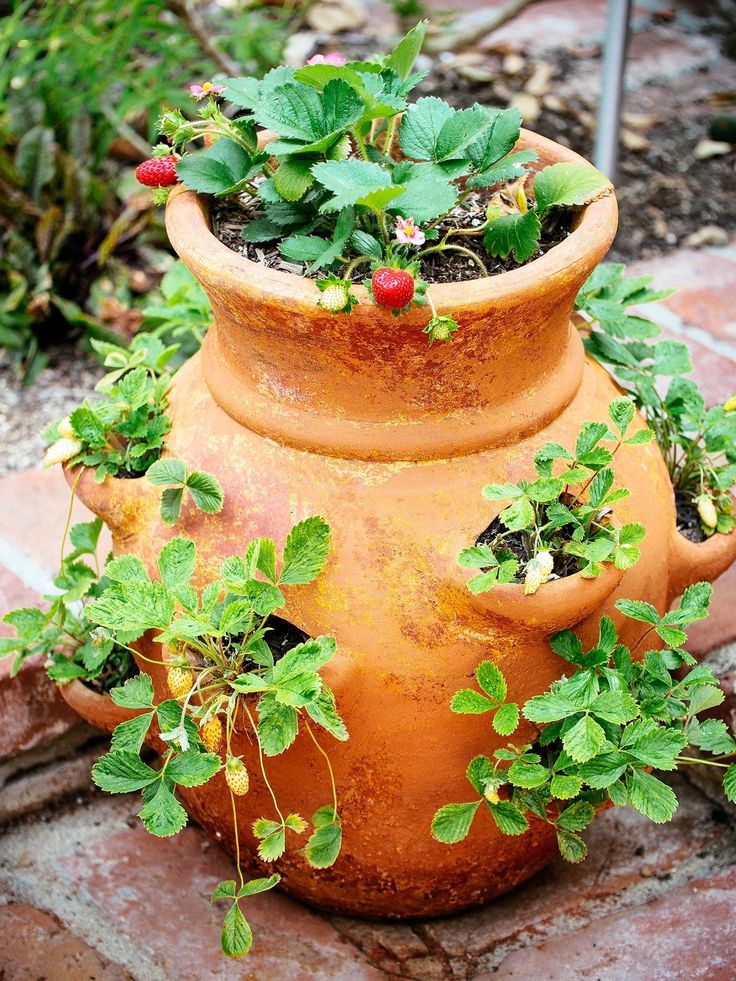 a potted planter with strawberries growing out of it's sides on a brick patio