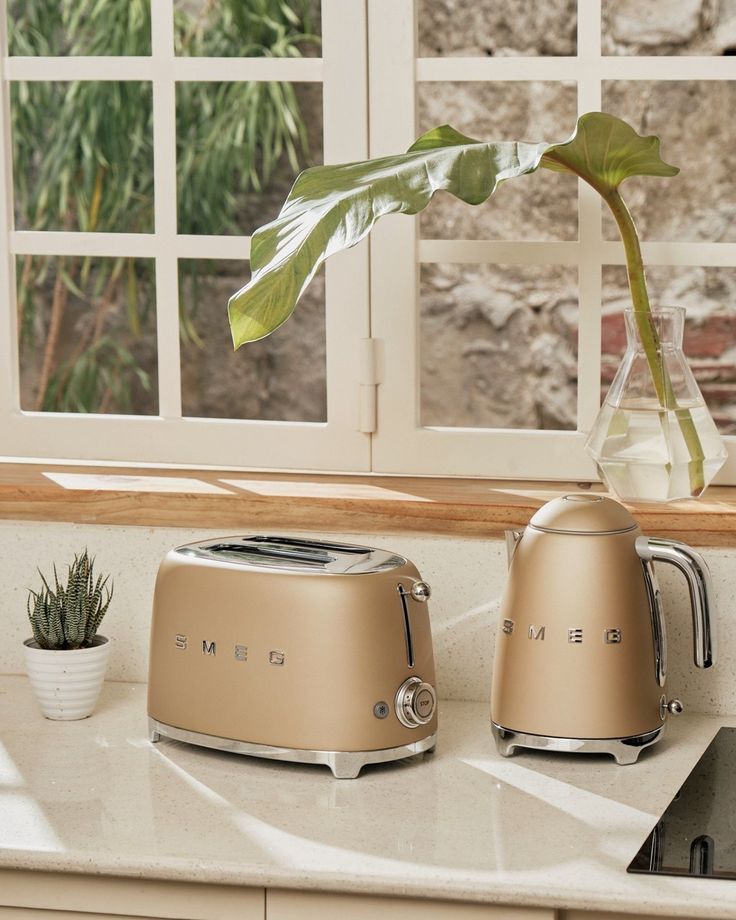 two toasters sitting on top of a counter next to a potted green plant