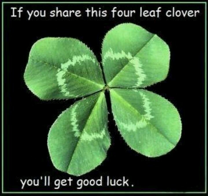 four leaf clover with the words if you share this four leaf clover, you'll get good luck