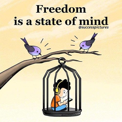 a person sitting in a bird cage with two birds perched on top of it and the caption reads, freedom is a state of mind