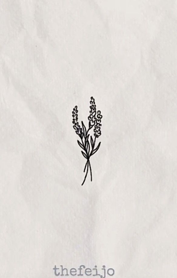 a drawing of lavender on white paper with the words, theyfajo above it