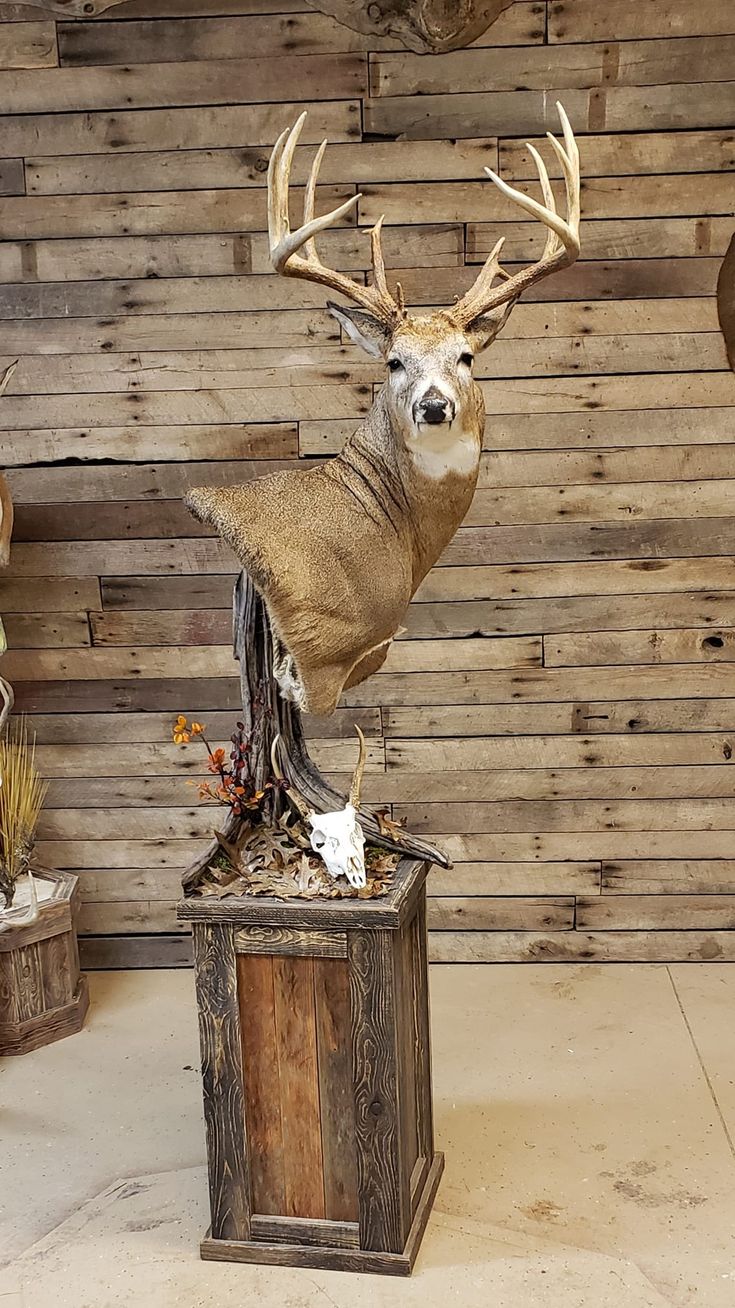 a statue of a deer with antlers on it's head is in front of a wooden wall