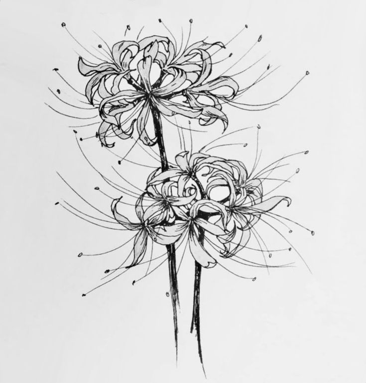 a black and white drawing of some flowers