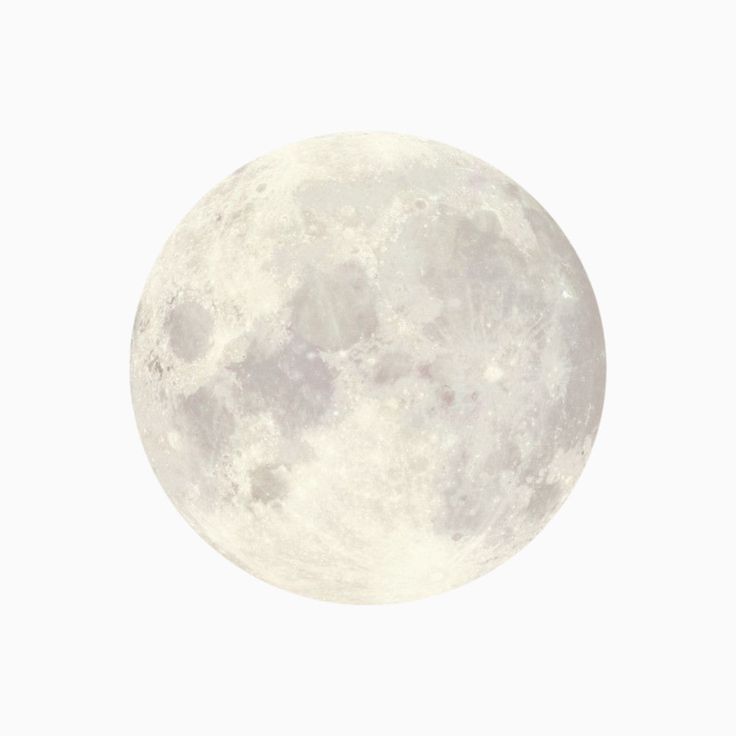 picture of full moon over a white background. commonly used for app icons with the ios14 update App Ikon, Notion Cover, Notion Icons, Instagram Themes, Notion Inspo, White Bg, Pinterest Room, Carrd Stuff, Moon Icon