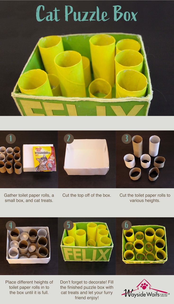 the instructions for how to make cat puzzle boxes with toilet paper rolls and cupcakes