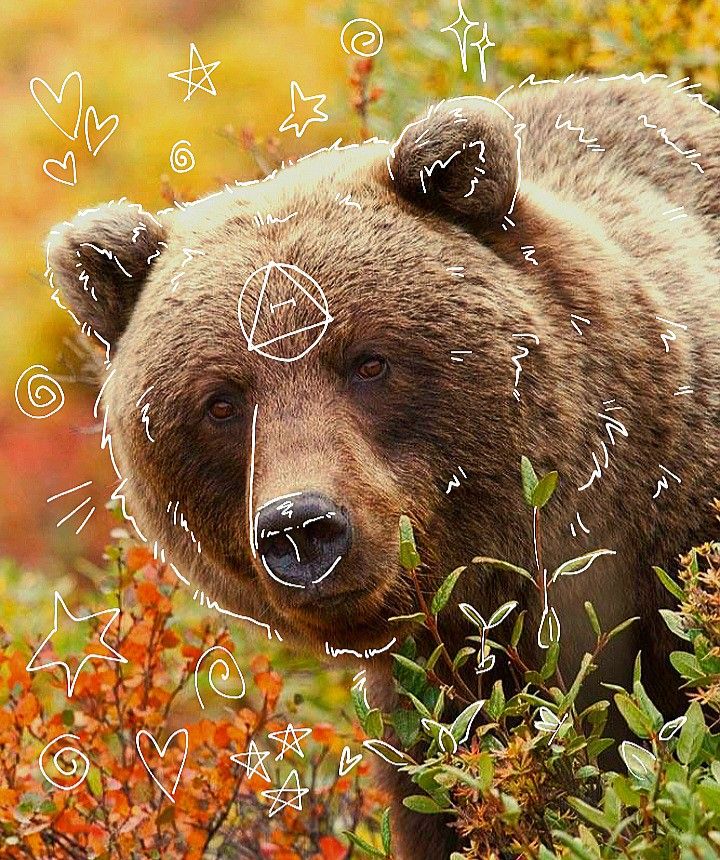 a brown bear standing on top of a forest filled with lots of leaves and flowers