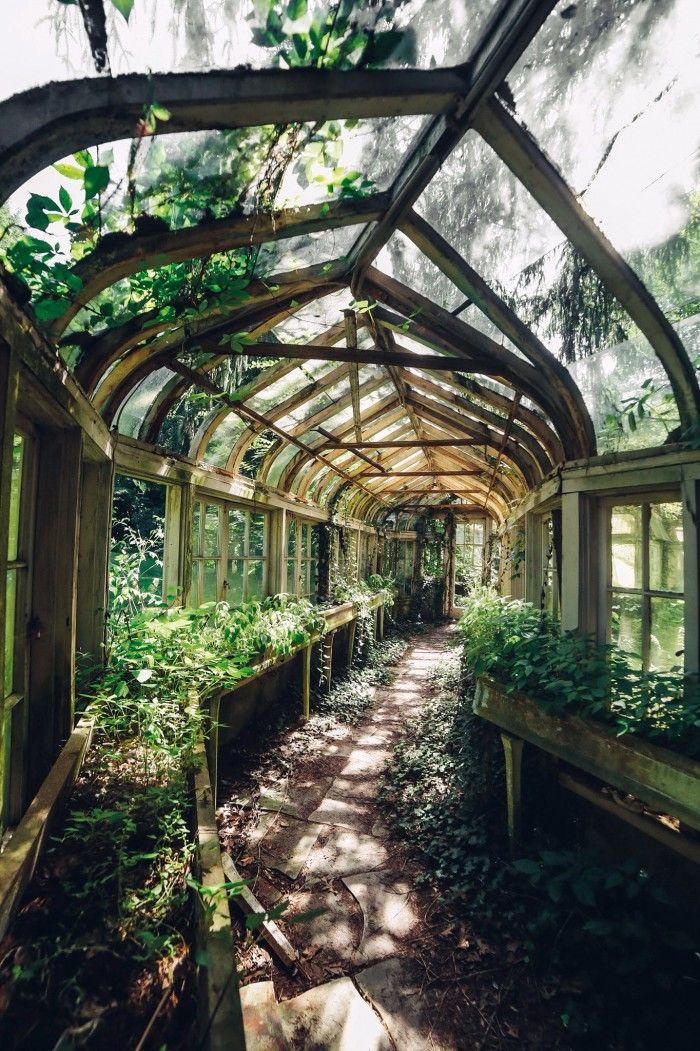 an old greenhouse with lots of plants growing inside