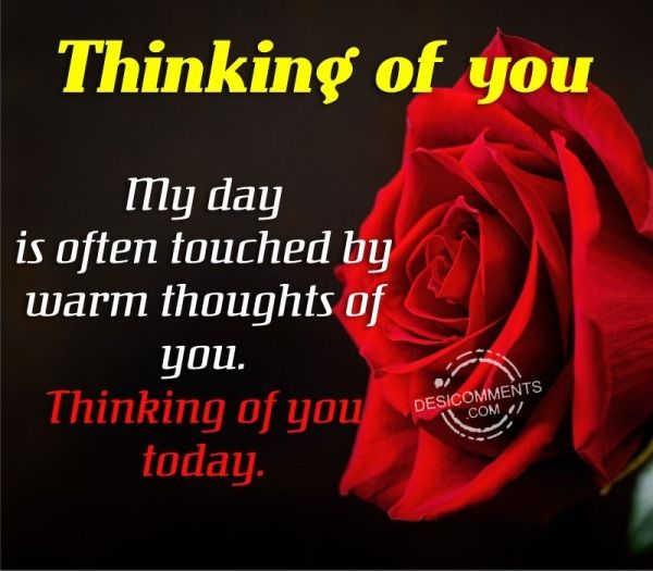 a red rose with the words thinking of you