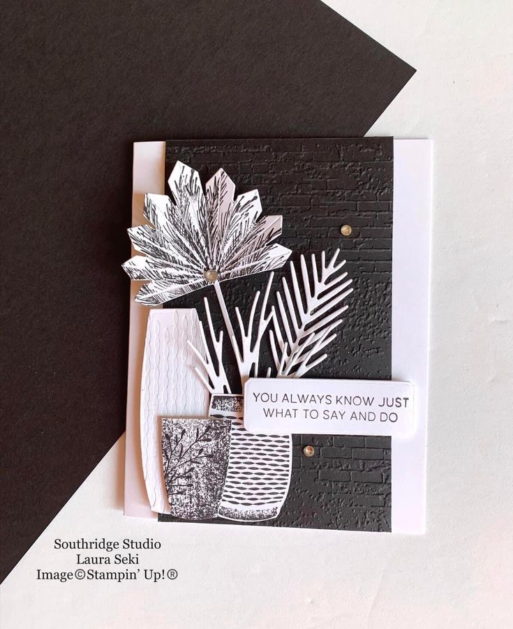 a close up of a greeting card with a plant on the front, and an envelope that says you always know just