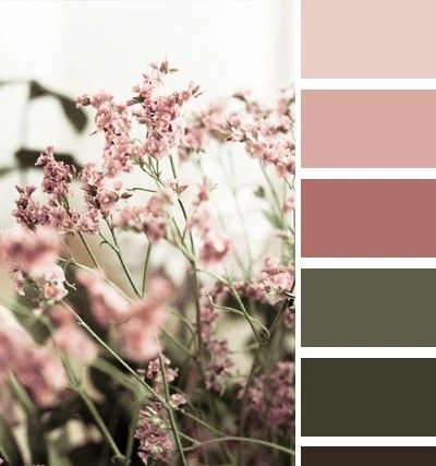 some pink flowers are in the middle of a color palette with green and brown tones