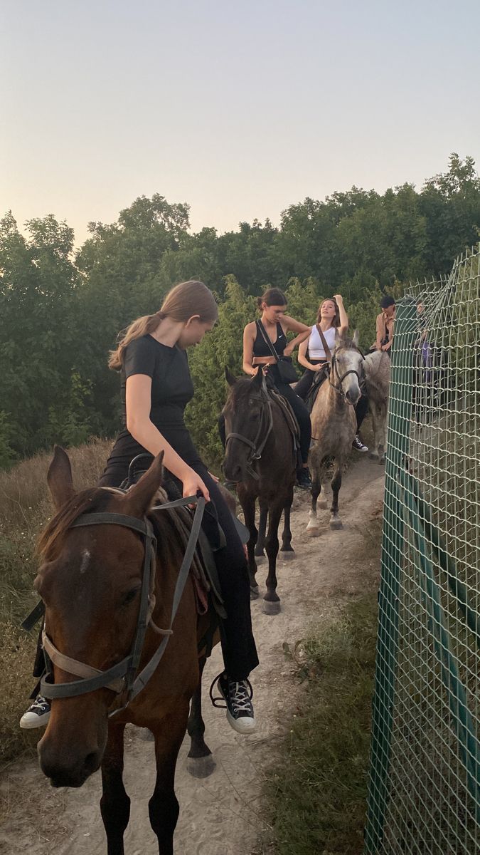 several people are riding horses on a path near a fence and some trees in the background