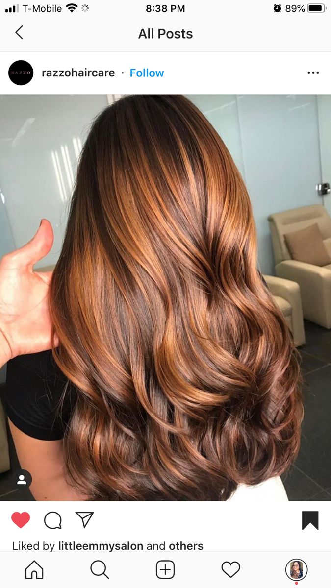 Caramel And Ginger Hair, Caramel Balayage On Auburn Hair, Long Brown Hair With Copper Highlights, Cooper Lowlights On Brown Hair, Ginger Brunette Hair Highlights, Cooper Brown Balayage, Women's Professional Hairstyles, Strawberry Blonde And Brown Hair, Burnett Hair Color Ideas 2023