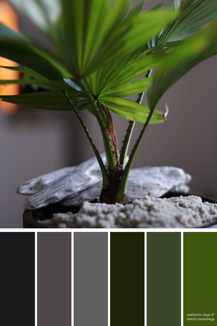 a potted plant sitting on top of a table next to a color swatch