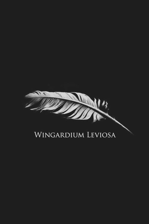 the wingardum leviosa logo is shown on a black background, with a white feather