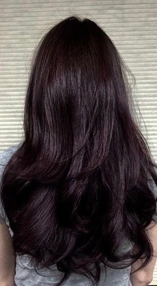 Plum Dark Hair, Brunette With Cherry Highlights, Cool Toned Chocolate Brown Hair, Dark Cherry Black Hair, Black Hair With Red Undertones, Black Cherry Hair Color Dark, Black Cherry Highlights, Cherry Black Hair, Dark Plum Brown Hair