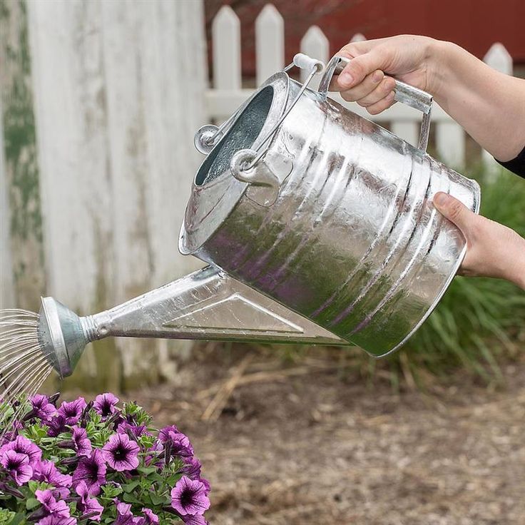 a person is pouring water into a flower pot