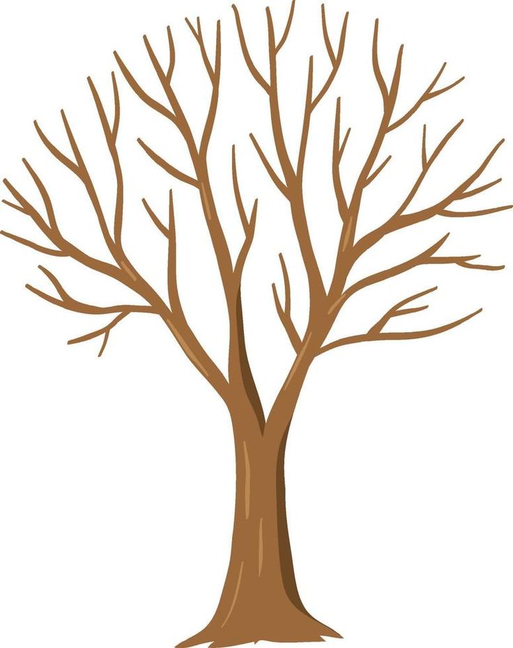 a tree with no leaves on it is shown in an image that appears to have been edited