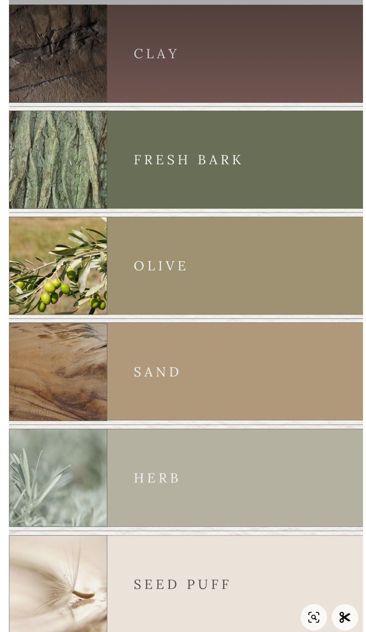 the different shades of paint that are used to create this color scheme for furniture and home decor