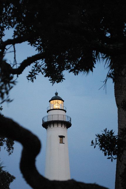 the light house is lit up in the evening sky behind some tree branches and leaves