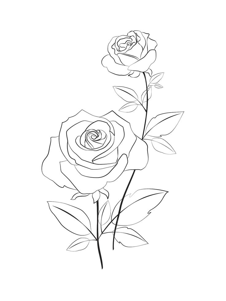 two roses are shown in black and white, with one flower on the left side