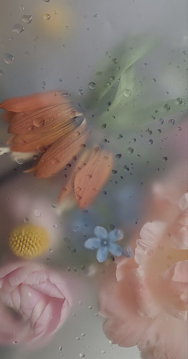 some flowers and raindrops on a window