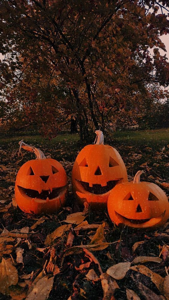 three carved pumpkins sitting on the ground in front of a tree