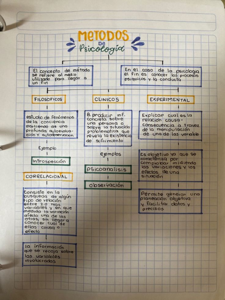 a hand drawn diagram on top of a piece of paper with words in spanish and english