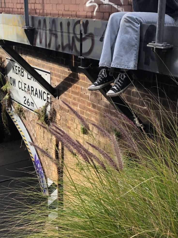 a person sitting on top of a sign next to tall grass and weeds in front of a brick wall