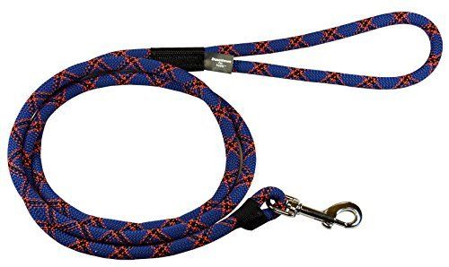 a blue leash with an orange and black design on the end is attached to a metal hook