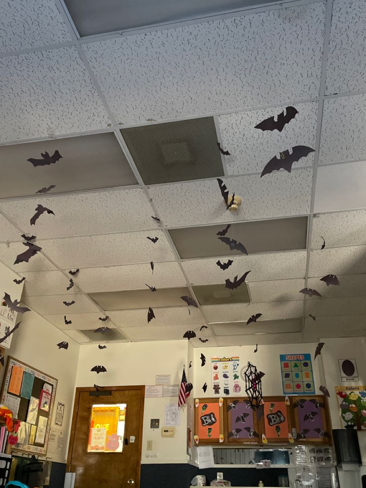 bats are hanging from the ceiling in an office